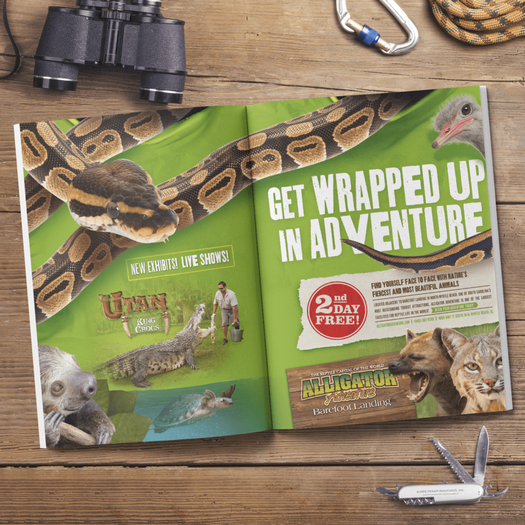 Alligator adventure